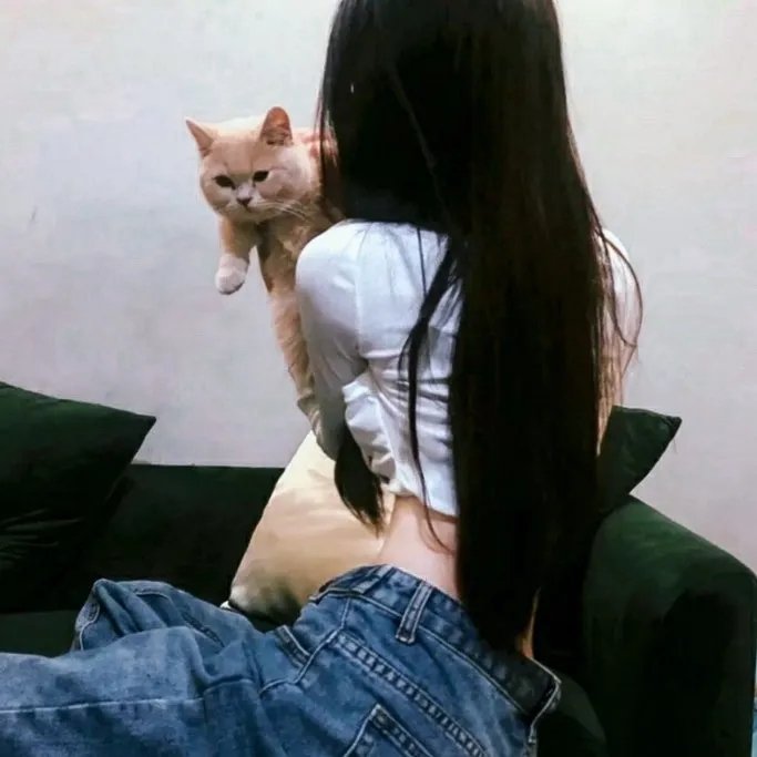 罪网